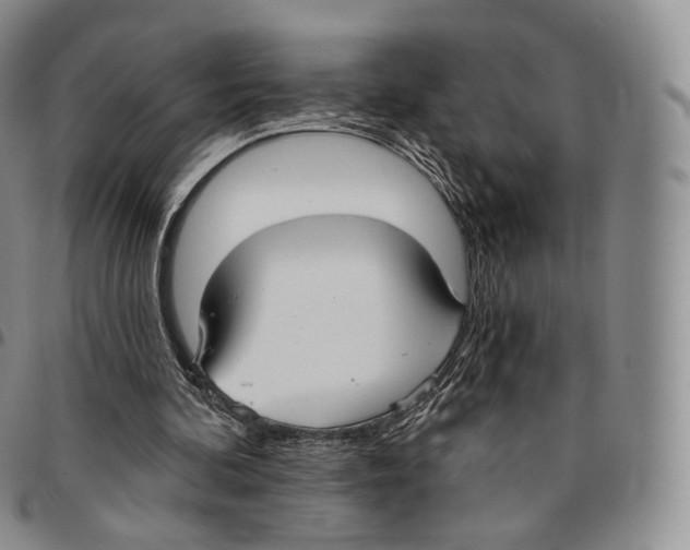 X0000096690292200803041306