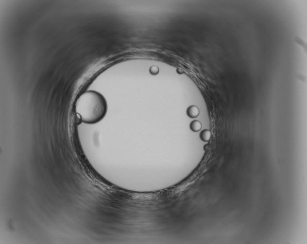 X0000096690294200803041306