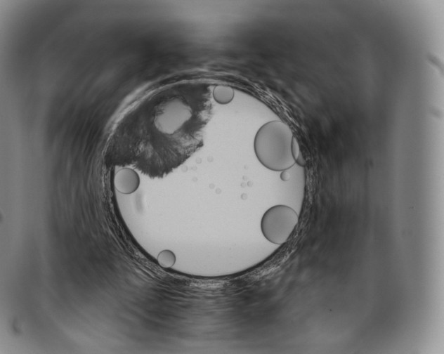 X0000096690295200803041306