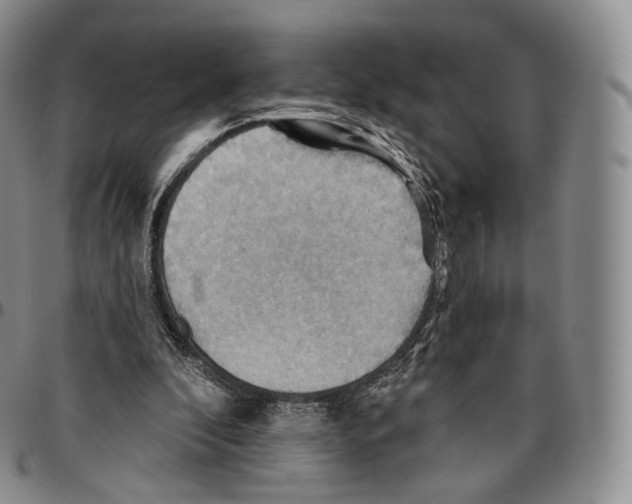 X0000096690296200803041306