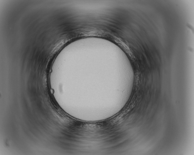 X0000096690298200803041306