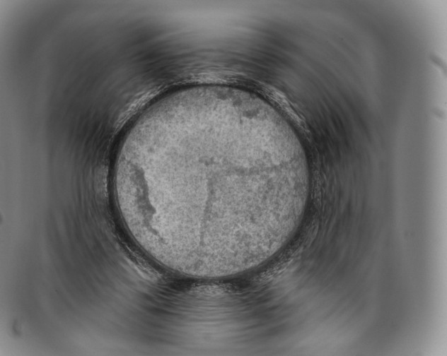 X0000096690299200803041306