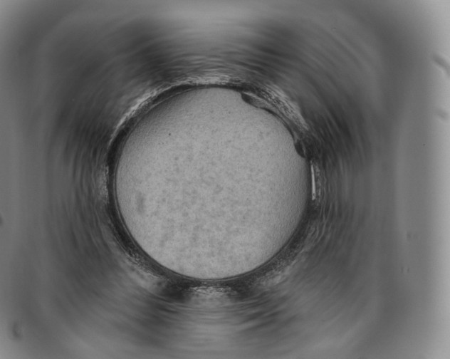 X0000096690300200803041306