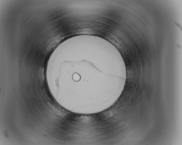 X0000096690302200803041306