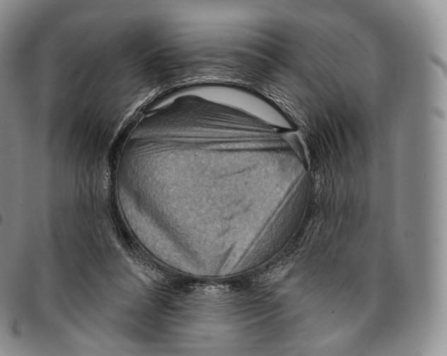 X0000096690304200803041306