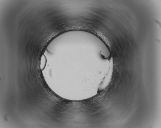 X0000096690305200803041306