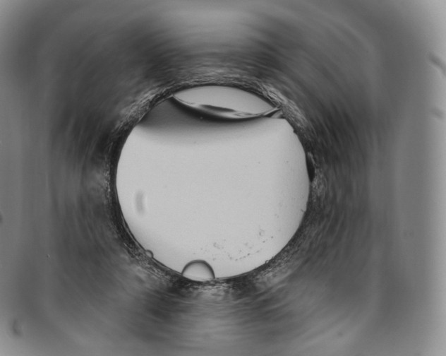 X0000096690306200803041306