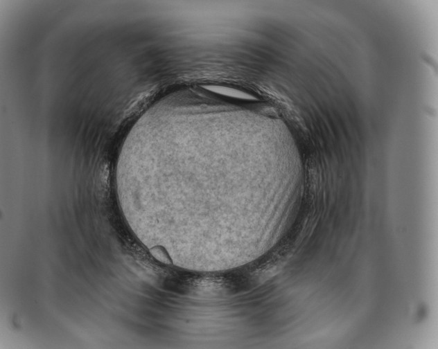 X0000096690308200803041306