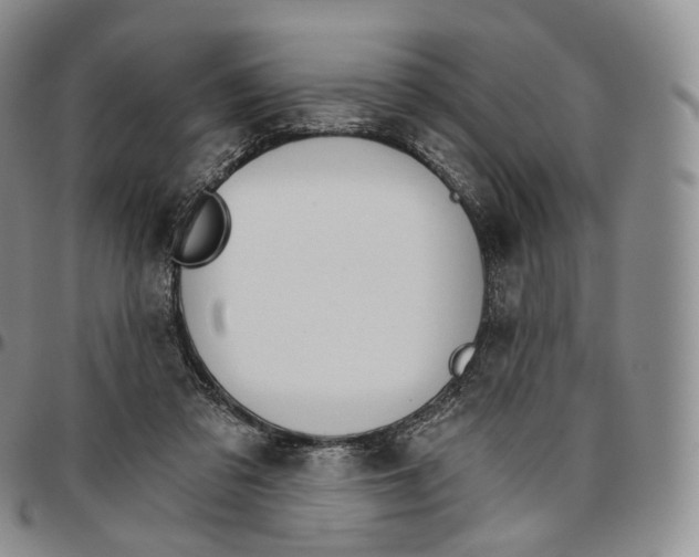 X0000096690309200803041306