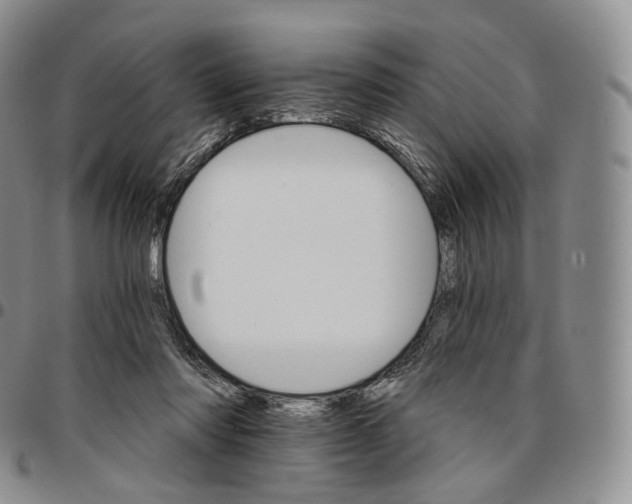 X0000096690310200803041306