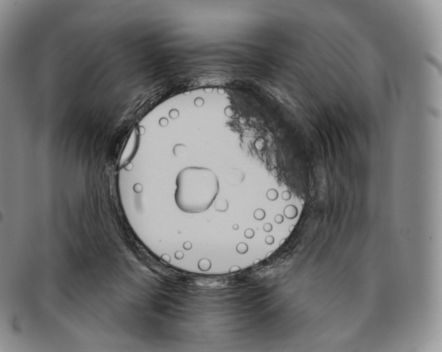 X0000096690311200803041306