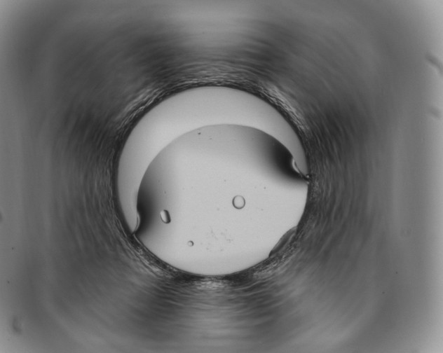 X0000096690313200803041306