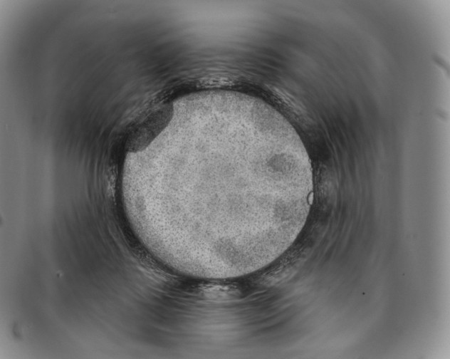 X0000096690315200803041306