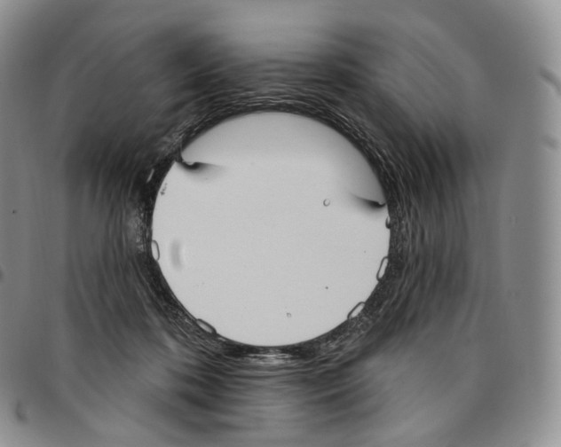 X0000096690316200803041306