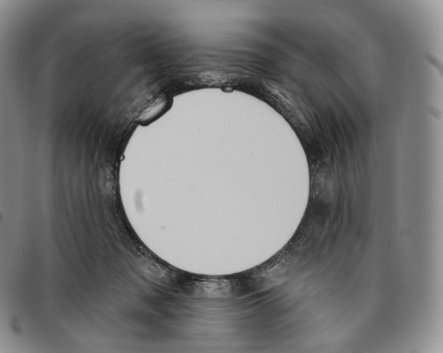 X0000096690317200803041306