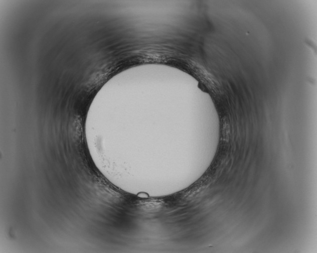 X0000096690318200803041306