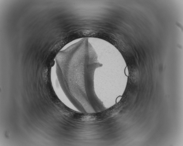 X0000096690319200803041306