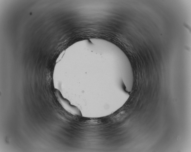 X0000096690320200803041306