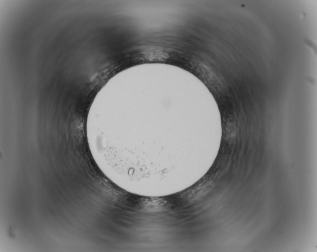 X0000096690321200803041306