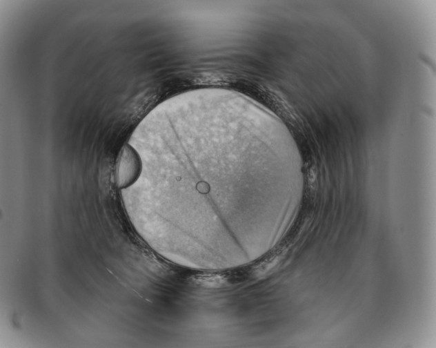 X0000096690322200803041306