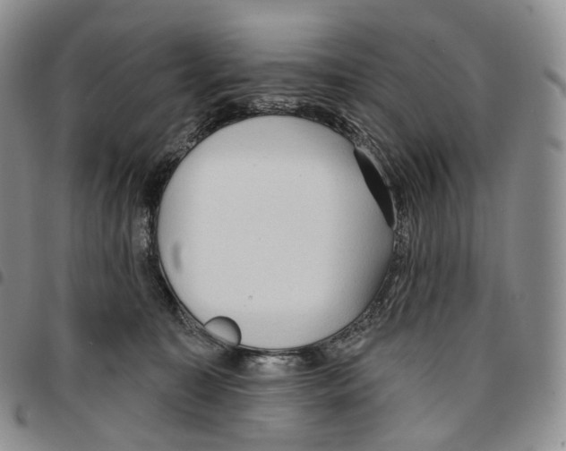 X0000096690323200803041306