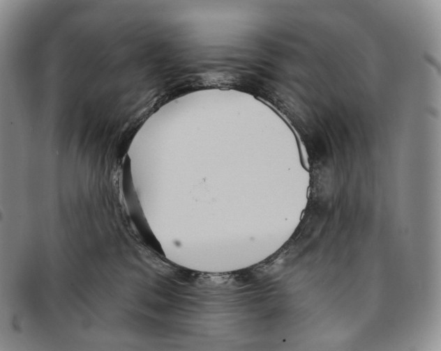 X0000096690329200803041306