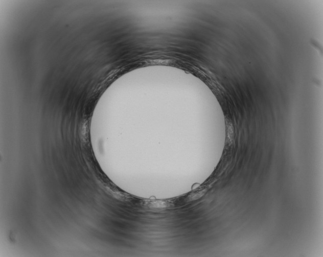 X0000096690330200803041306