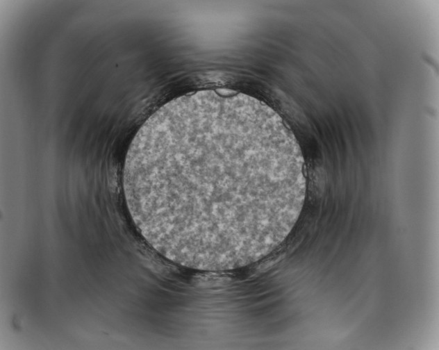 X0000096690331200803041306