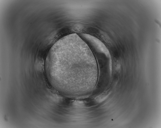 X0000096690332200803041306