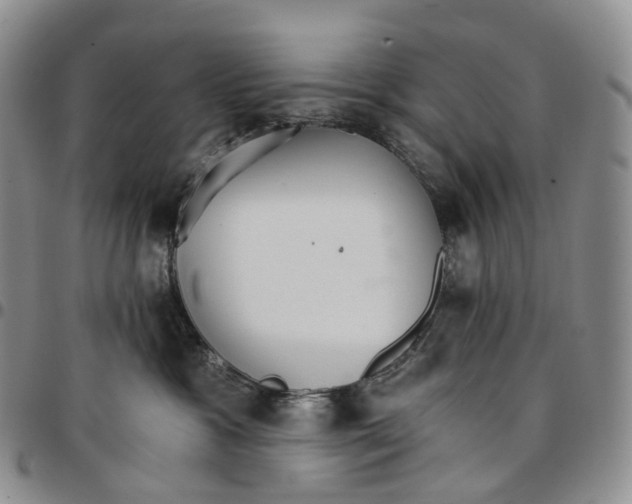 X0000096690333200803041306