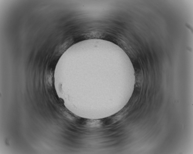 X0000096690334200803041306