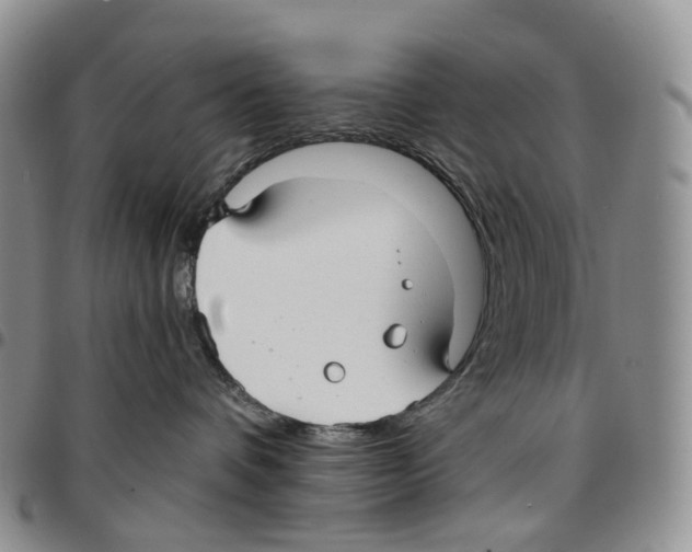 X0000096690336200803041306