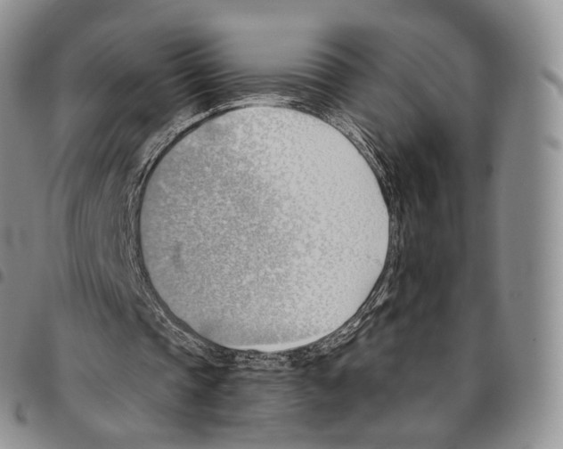 X0000096690337200803041305