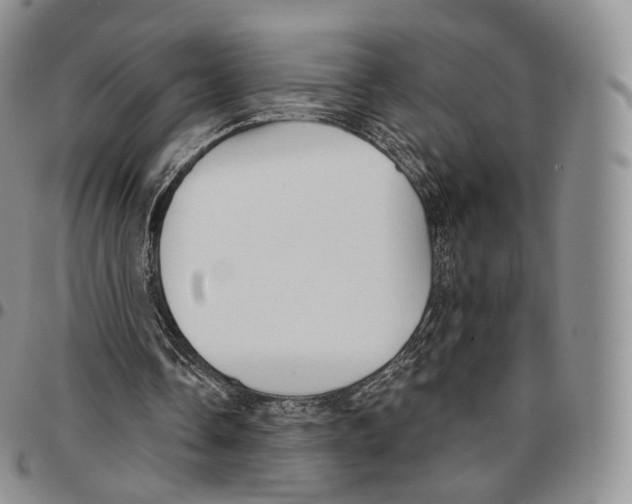 X0000096690338200803041305