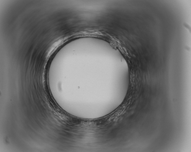 X0000096690340200803041305