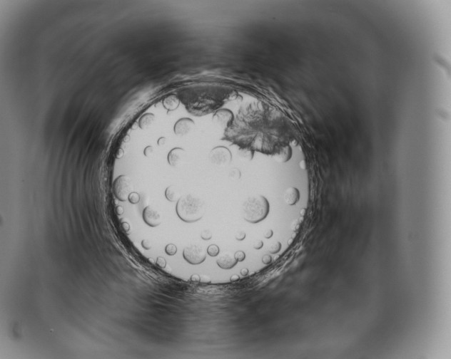 X0000096690341200803041305