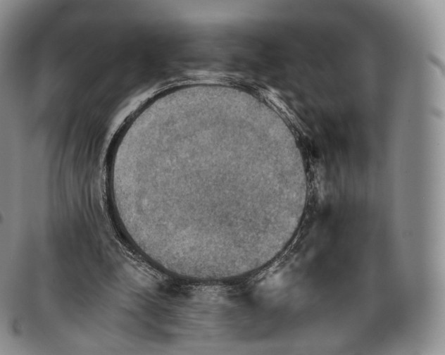 X0000096690342200803041305