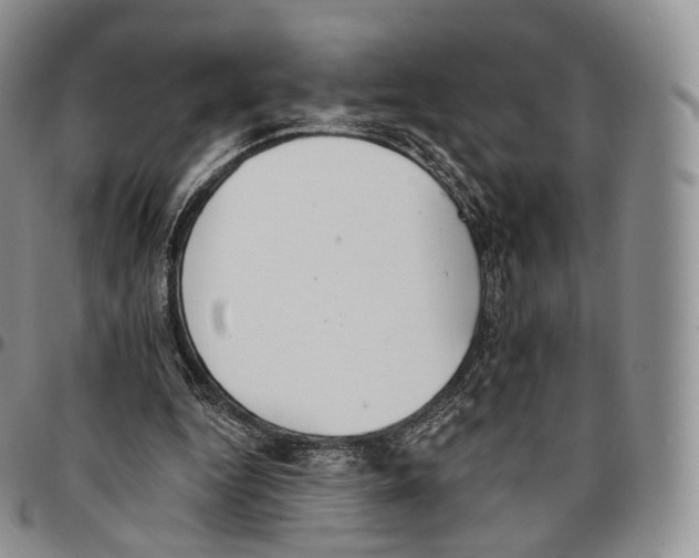 X0000096690344200803041305