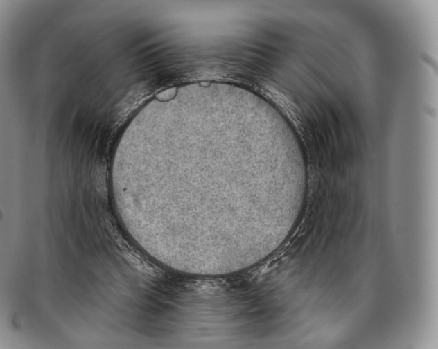 X0000096690345200803041305