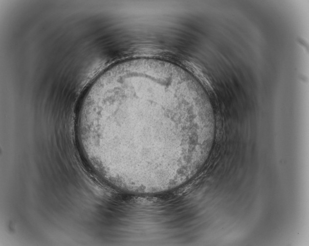 X0000096690346200803041305