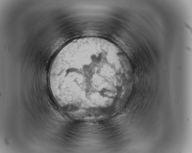 X0000096690347200803041305