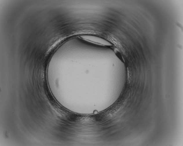 X0000096690348200803041305