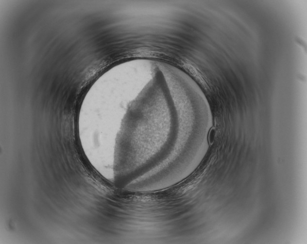 X0000096690349200803041305