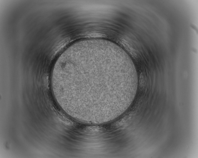 X0000096690351200803041305