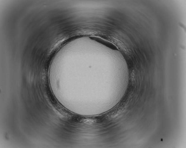 X0000096690352200803041305