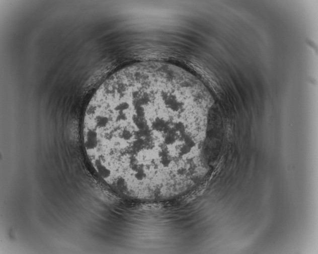 X0000096690353200803041305