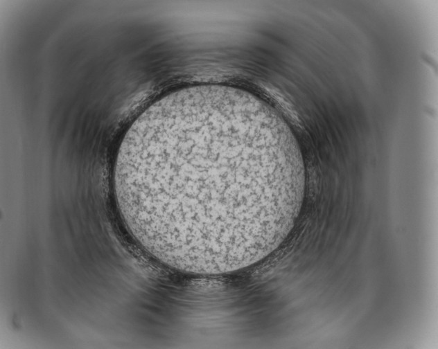 X0000096690354200803041305