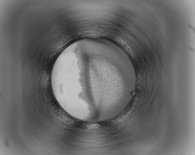 X0000096690355200803041305