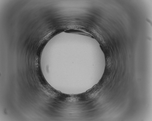 X0000096690356200803041305