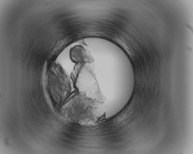 X0000096690357200803041305